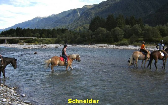 Vakantie Villa Karinthie 16 Paardrijden Schneider